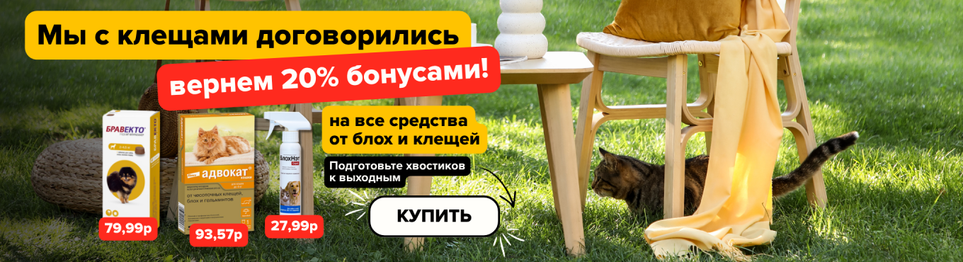 20% начисления